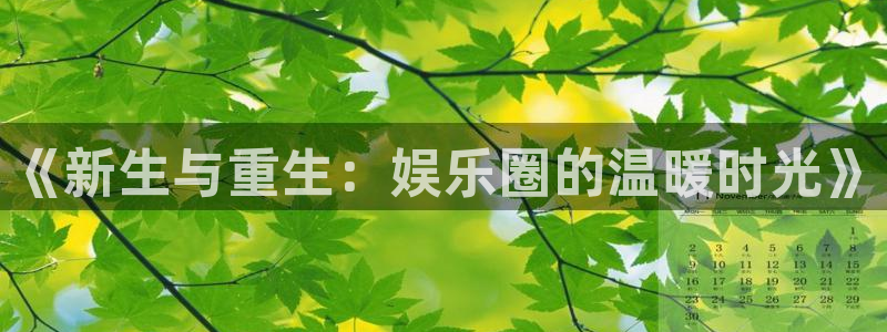 开丰娱乐地址：《新生与重生：娱乐圈的温暖时光》