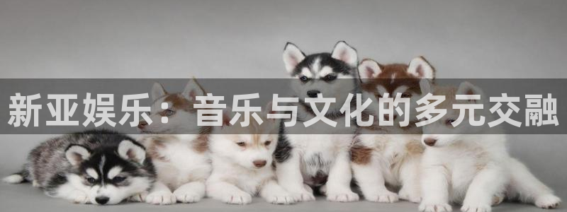 开丰娱乐168：新亚娱乐：音乐与文化的多元交融