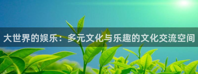 开丰娱乐：大世界的娱乐：多元文化与乐趣的文化交流空间