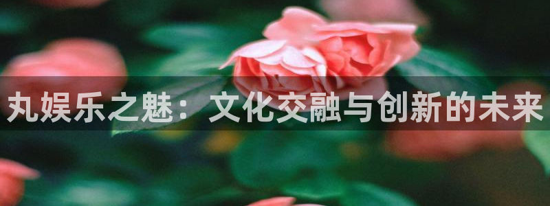 开丰娱乐：丸娱乐之魅：文化交融与创新的未来