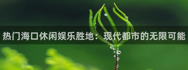 开丰娱乐168：热门海口休闲娱乐胜地：现代都市的无限可能