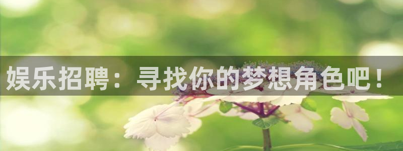 开丰娱乐地址：娱乐招聘：寻找你的梦想角色吧！
