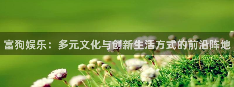 开丰娱乐：富狗娱乐：多元文化与创新生活方式的前沿阵地