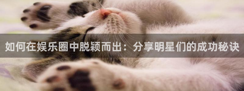 开丰娱乐地址：如何在娱乐圈中脱颖而出：分享明星们的成功秘诀